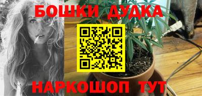 прущие грибы Кингисепп