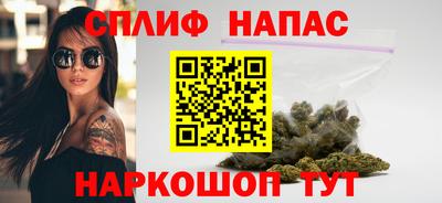 прущие грибы Кингисепп