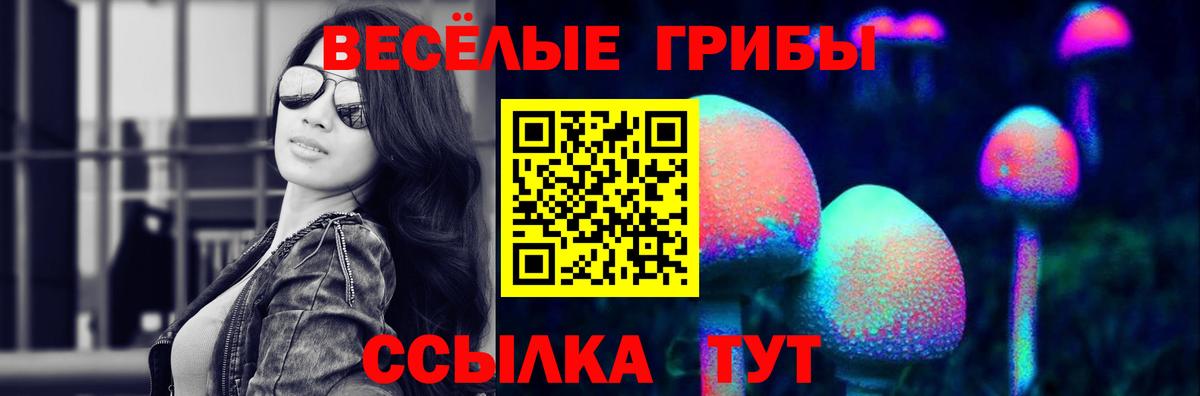 Галлюциногенные грибы ЛСД  Вход с VPN  Азов  Галлюциногенные грибы GOLDEN TEACHER 