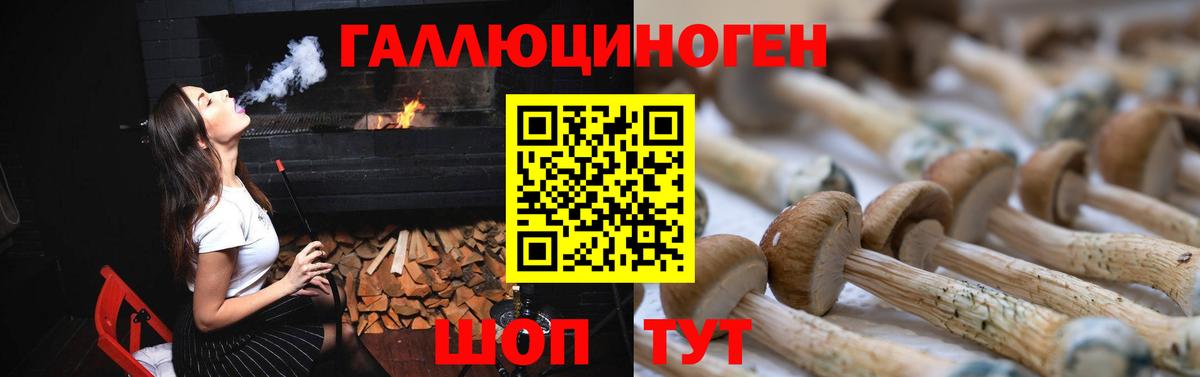 Галлюциногенные грибы Psilocybe Азов